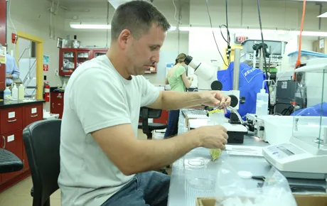 Professor works in lab