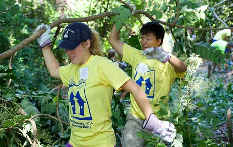 Students volunteer to clear brush