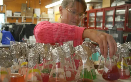Professor works in the wet lab