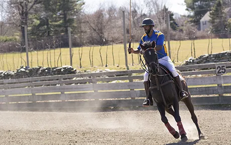 A polo player rides a horse around the field.