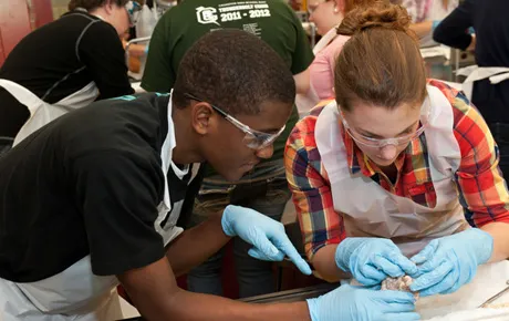 Students work on science experiment