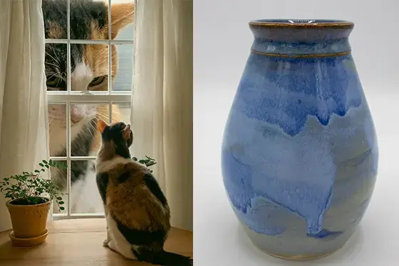 Image of photography and sculpture by rwu students