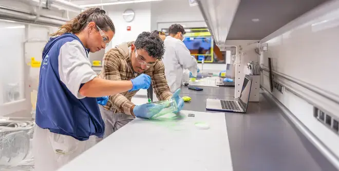 Students in a lab working together