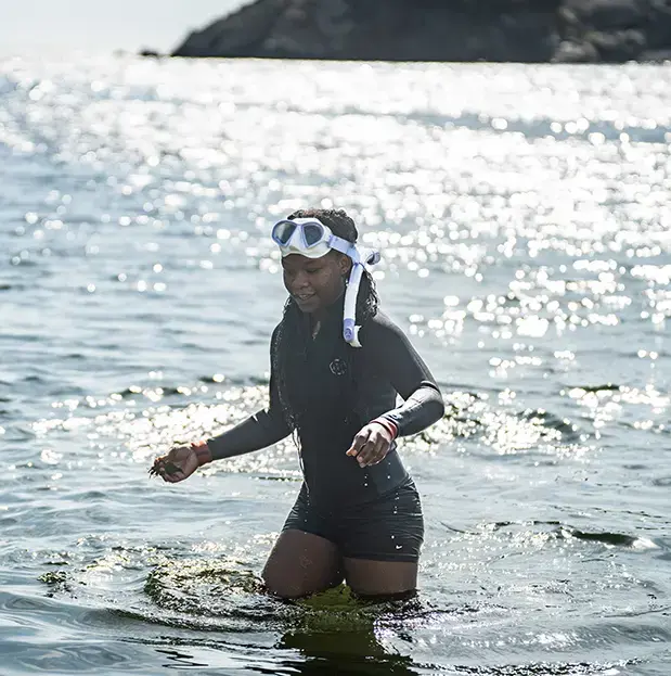 Student in wet suit and snorkel gear studies seaweed in the bay