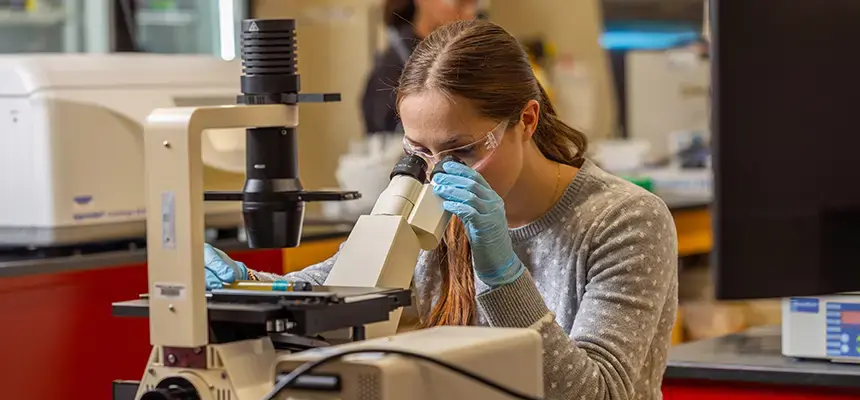 Student looking in microscope