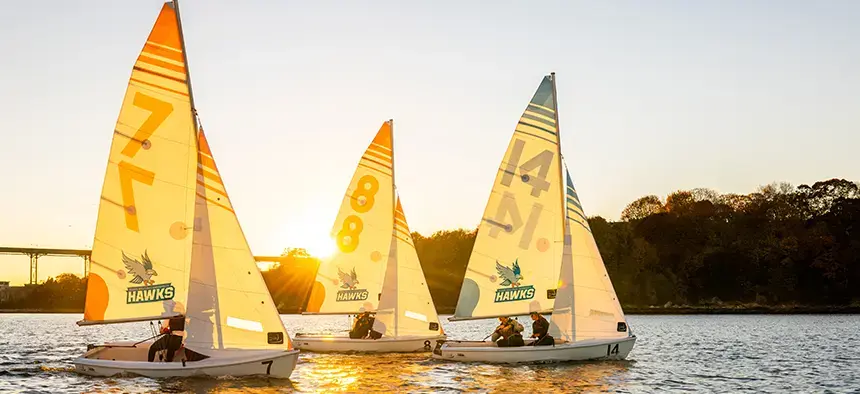 Sailboats on the bay