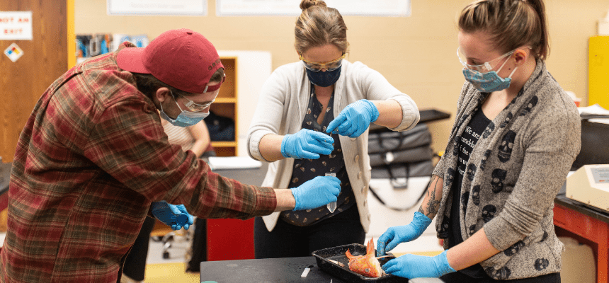 Students and faculty dissect a fish