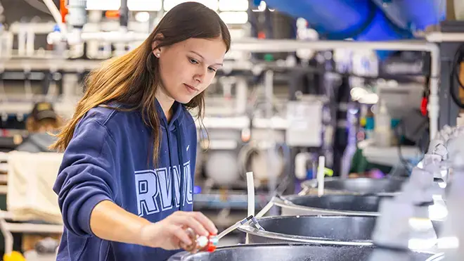 A student conducts research in CEED's wet lab.