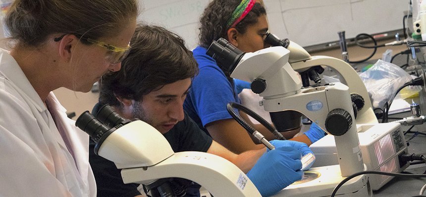 Students studying coral in the science lab.