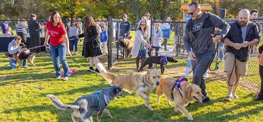 Dogs and humans enjoy Roger's Dog Park