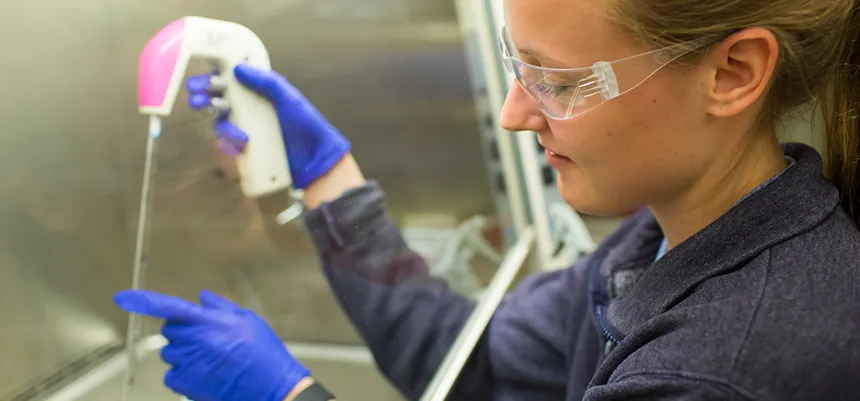 A student conducts a science experiment