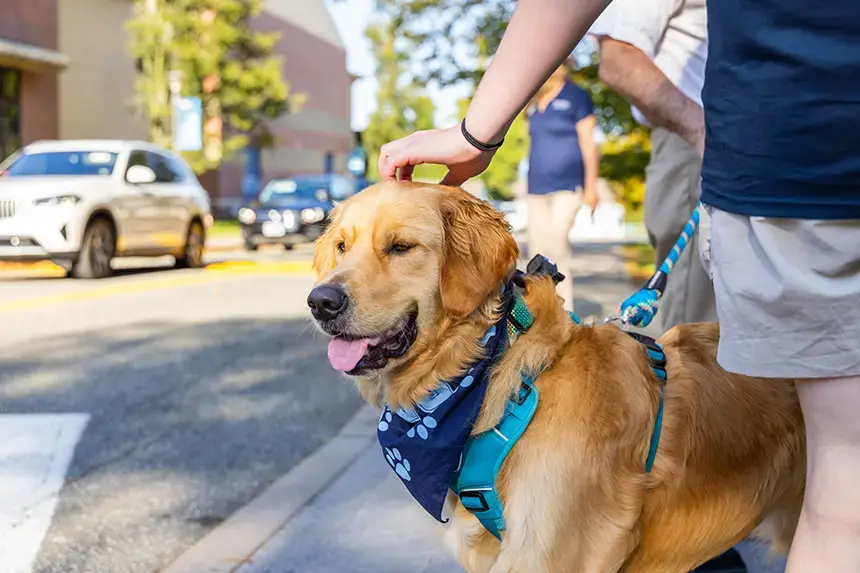 First Dog Roger gladly accepts pets as he looks out on the Class of 2029.