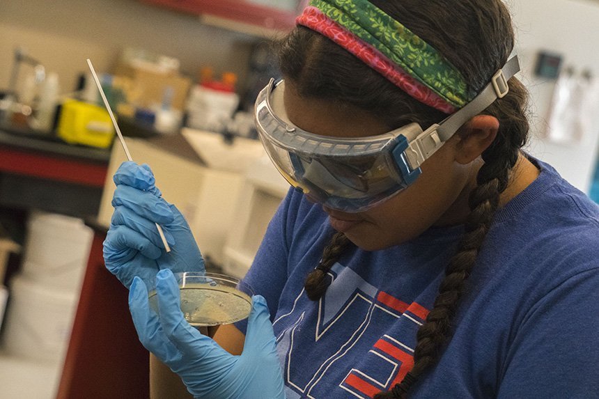 A student working in the Biology lab 