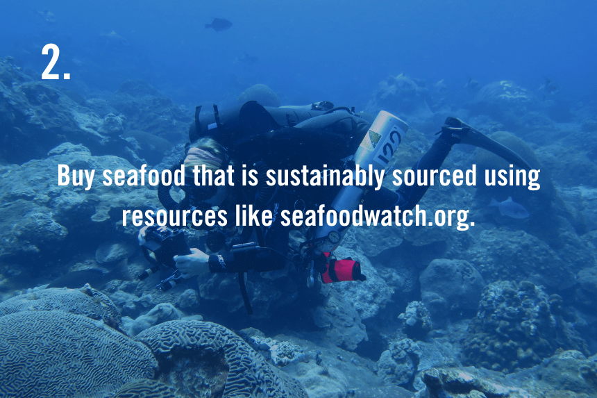 Text on slide reads "Buy seafood that is sustainably sourced using resources like seafoodwatch.org."