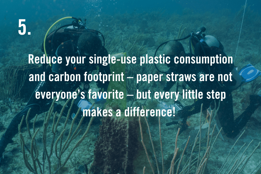 Text on slide reads "Reduce your single-use plastic consumption and carbon footprint – paper straws are not everyone’s favorite – but every little step makes a difference!"