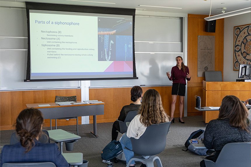 A student presenting to a class of students 