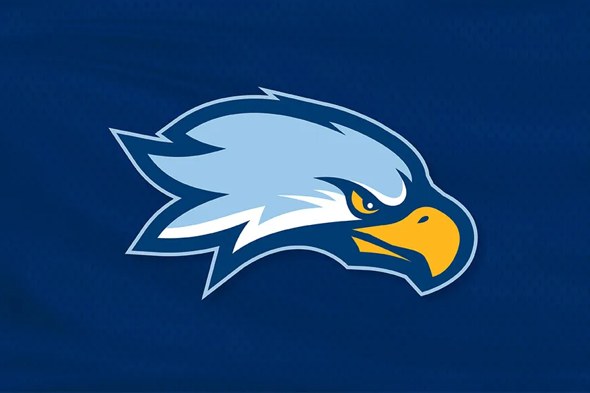 An illustration of a hawk's head