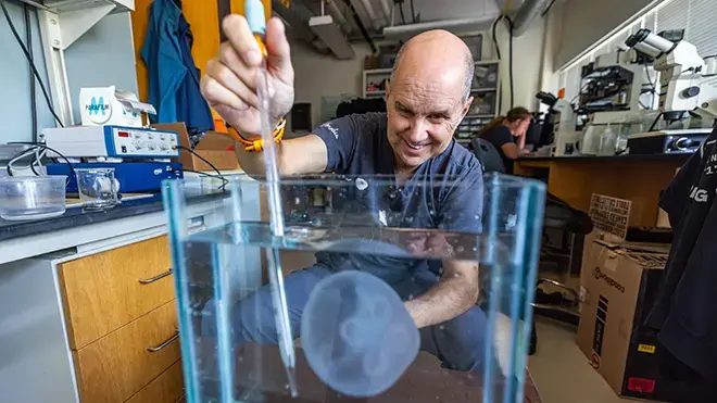 Professor Colin tests a moon jellyfish.