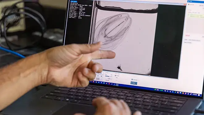 Sean Colin analyzes a computer image of a jelly.