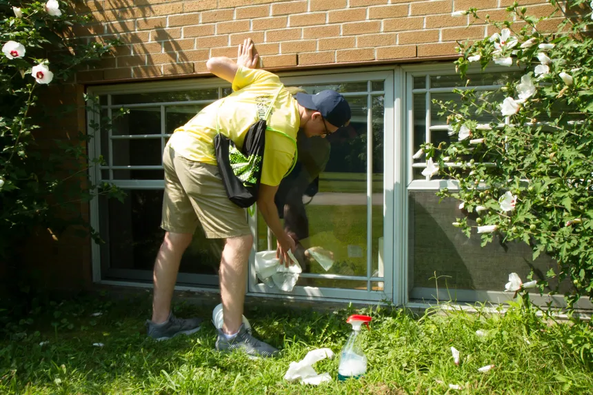 Student cleaning window