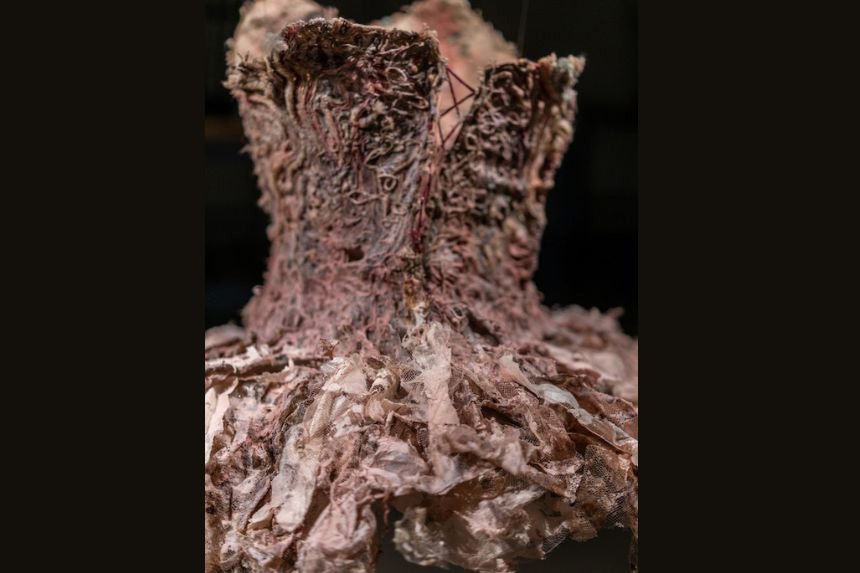 Detail shot, the backside of a pink bodice corset and tutu.