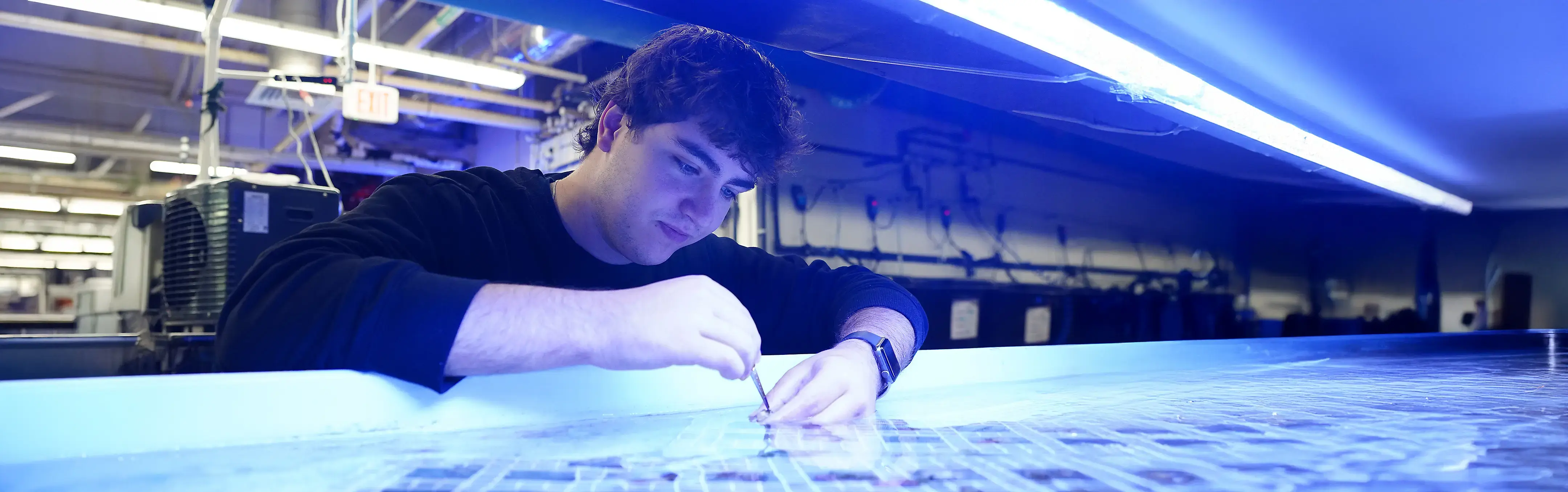 A student works in the Marine Bio wet lab