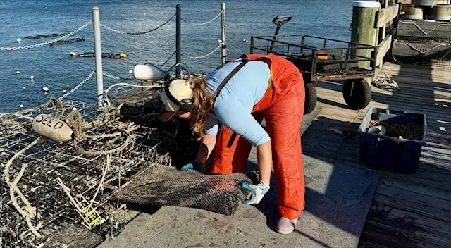 Student with shellfish