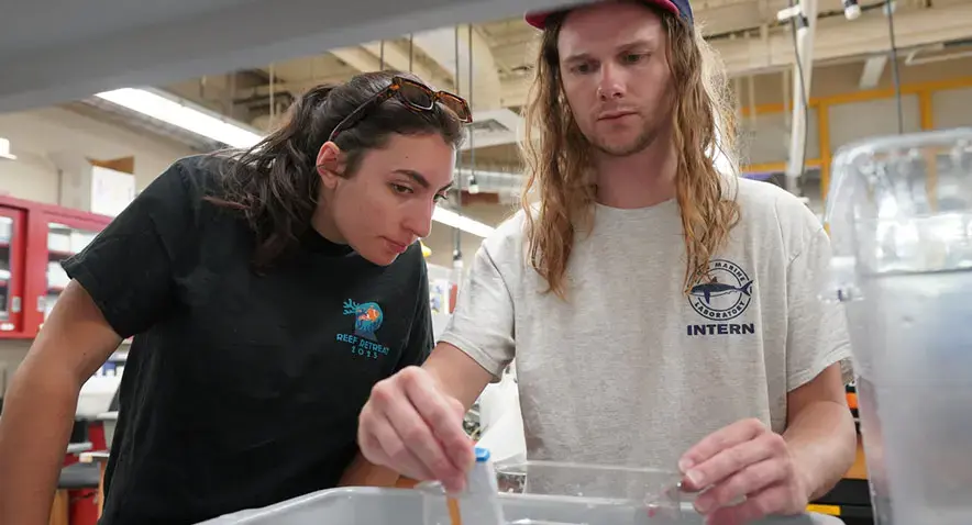 Students work in wet lab on coral research