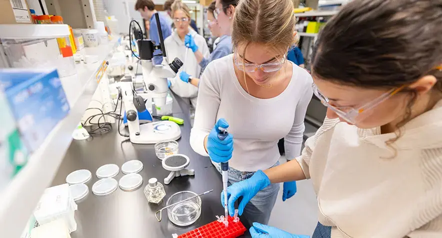 High School students do lab work