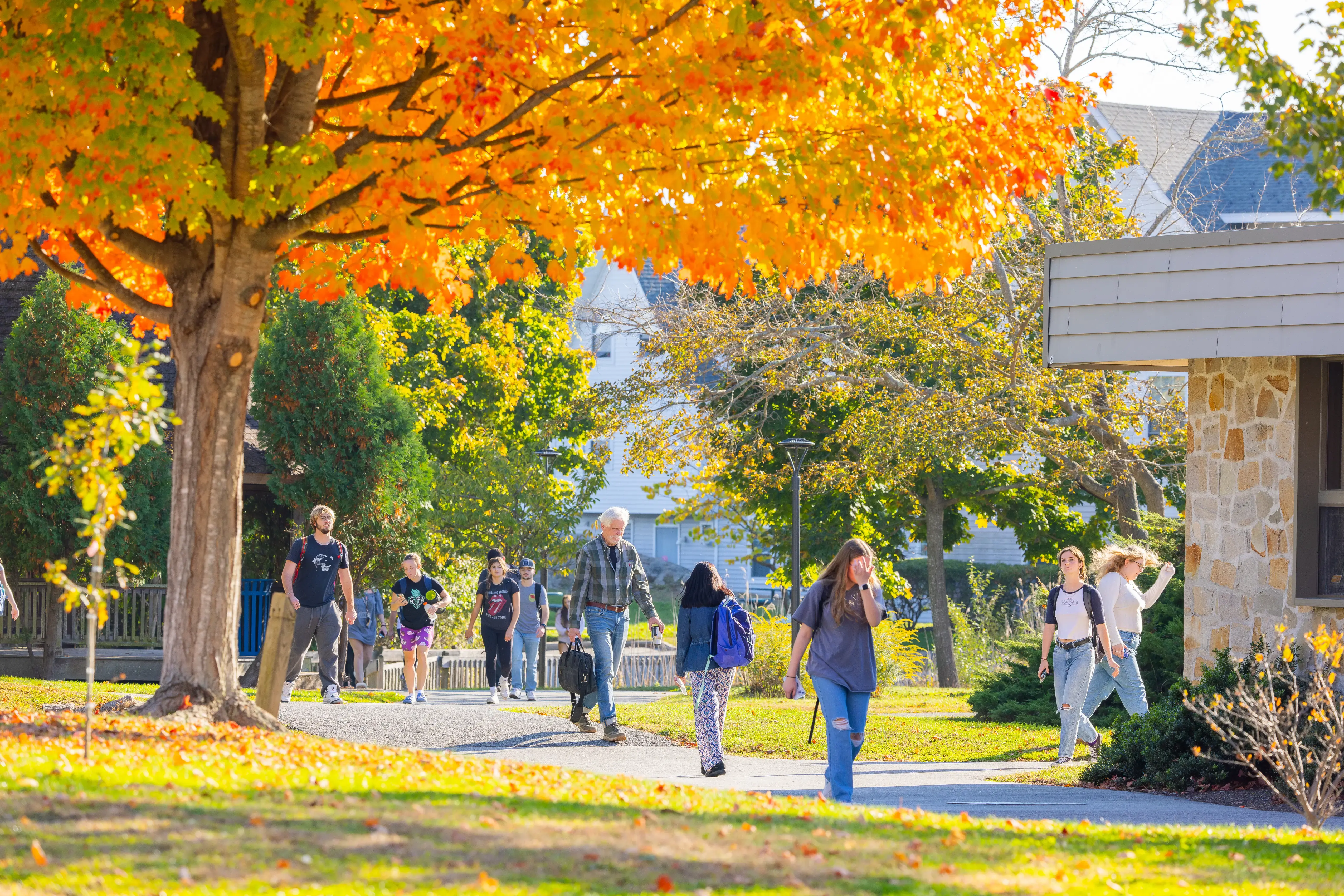Students walking on campus