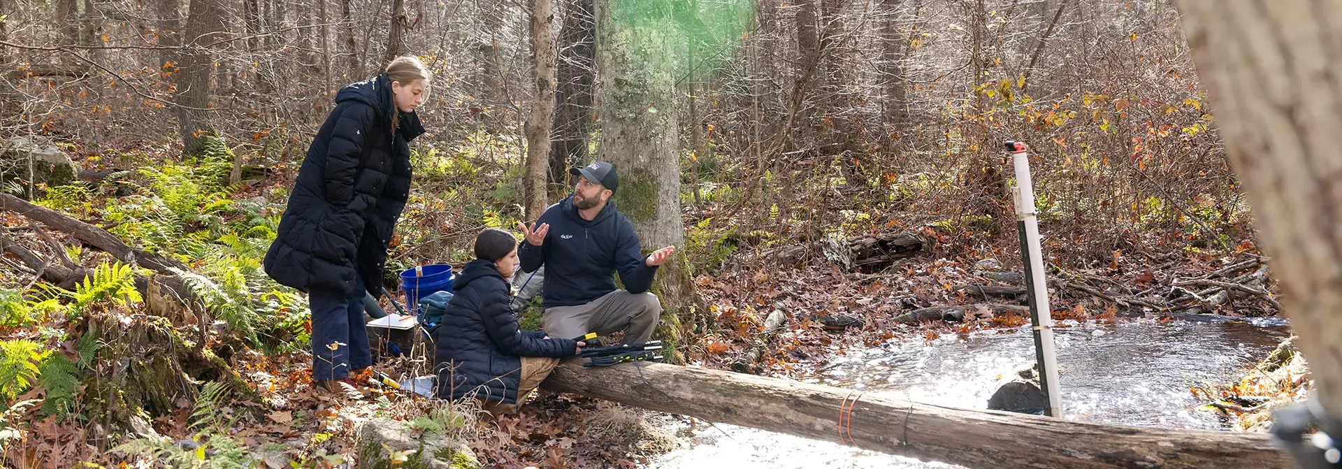 Students conduct field work in a woodland stream